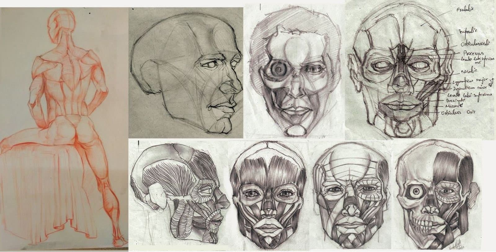 Art & Design student work — IACG