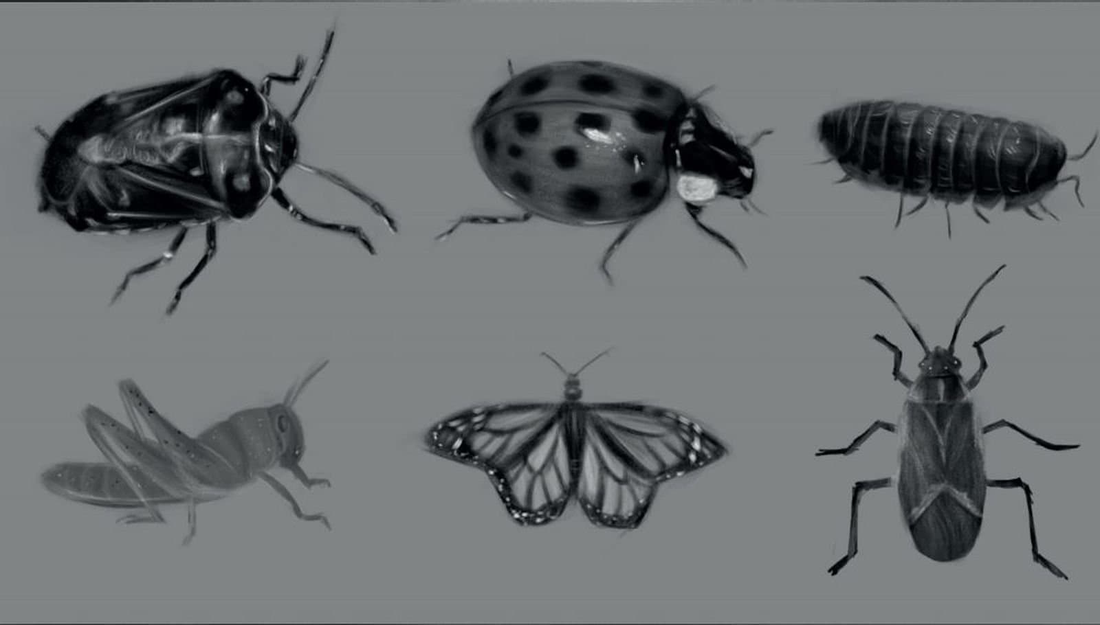 Art & Design student work — IACG
