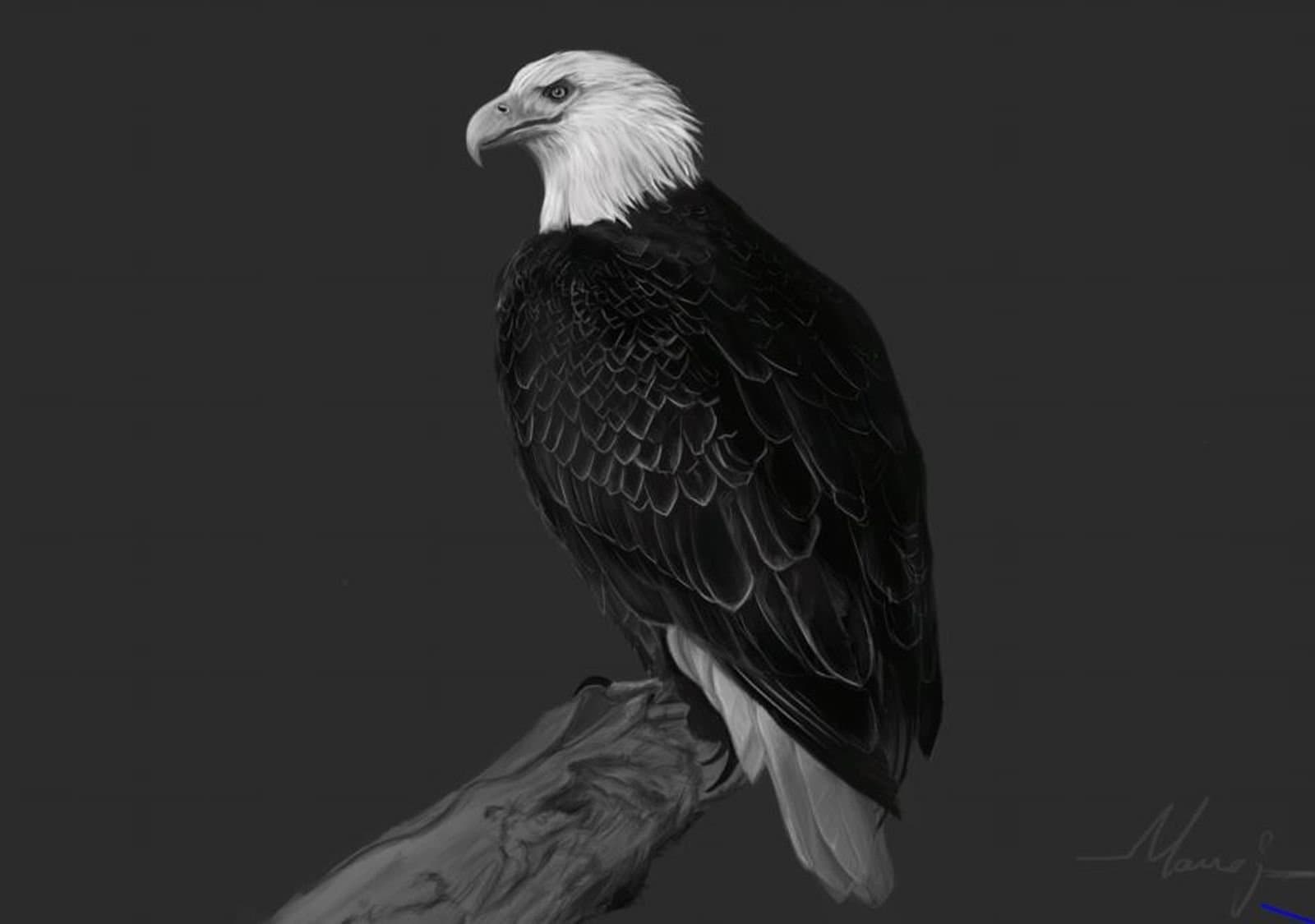 Art & Design student work — IACG