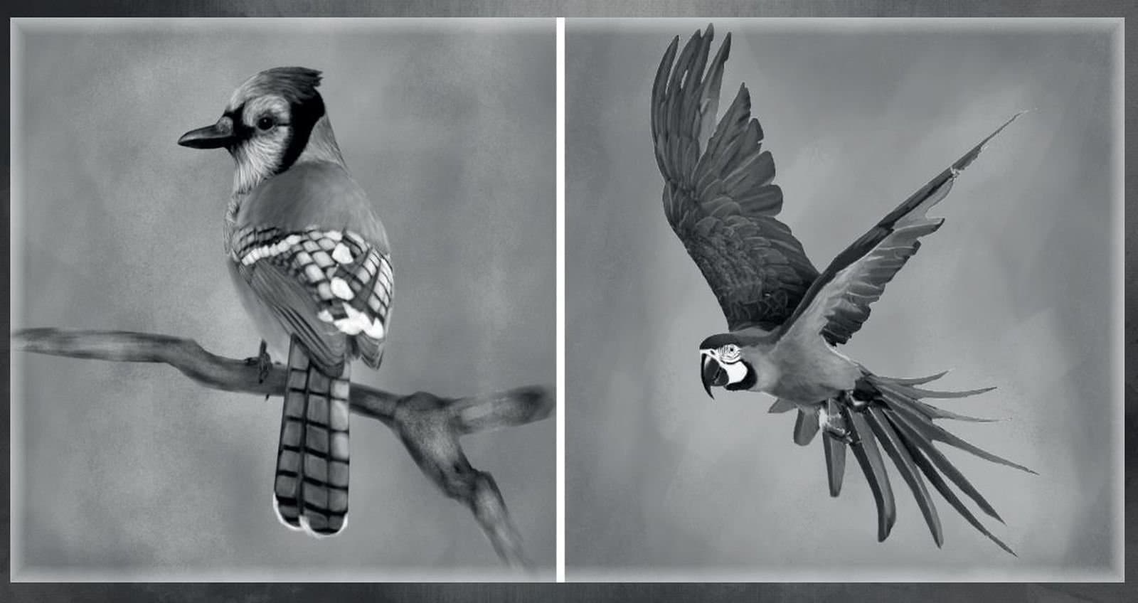 Art & Design student work — IACG