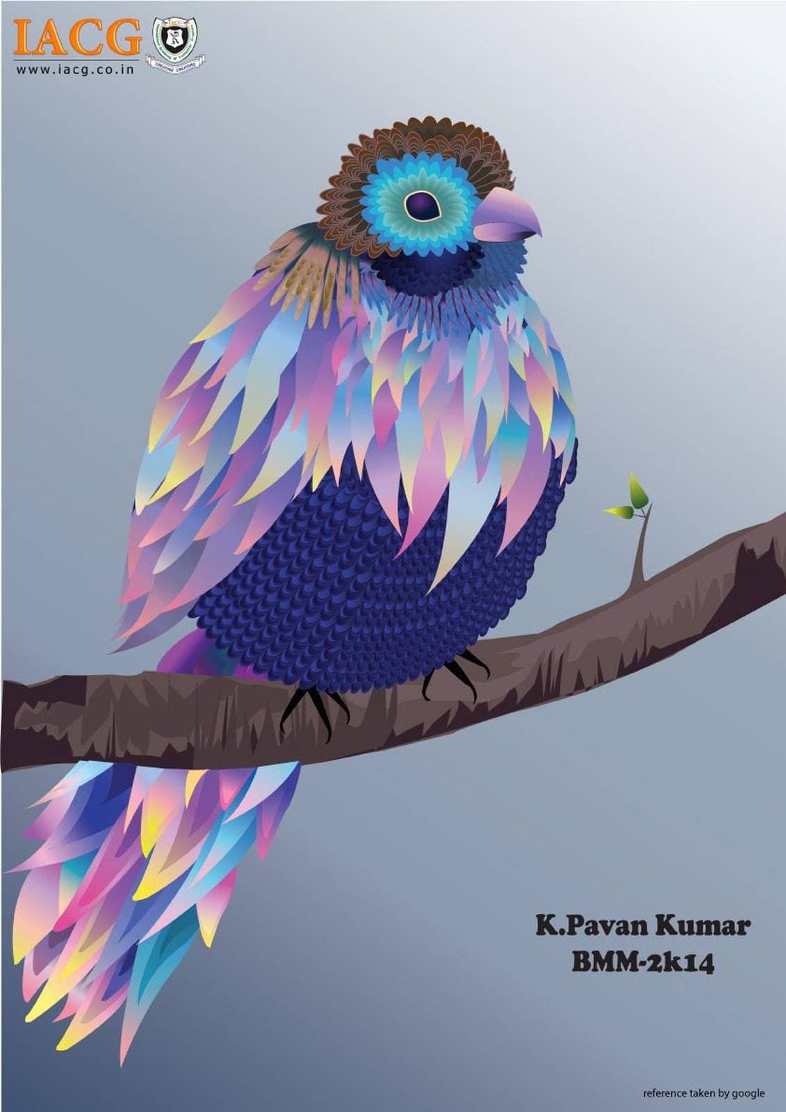 Graphic Design student work — IACG