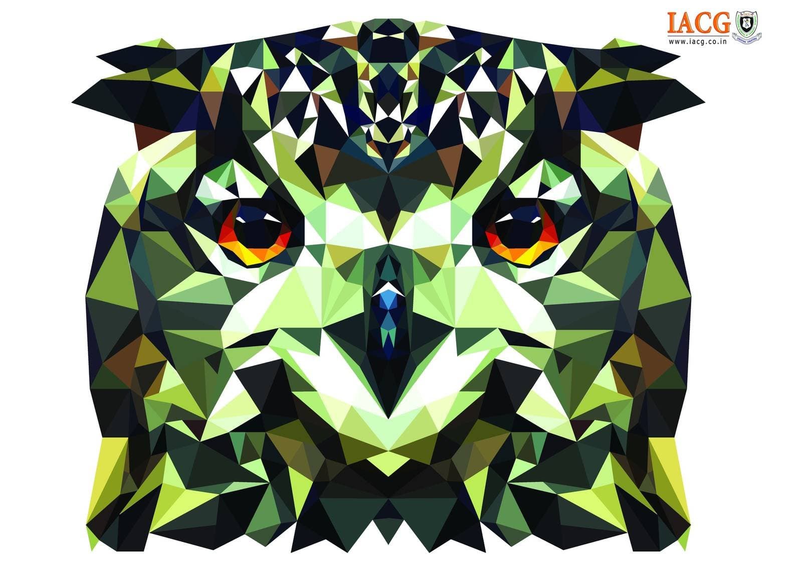 Graphic Design student work — IACG