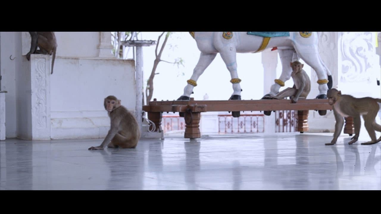 VFX student work — IACG
