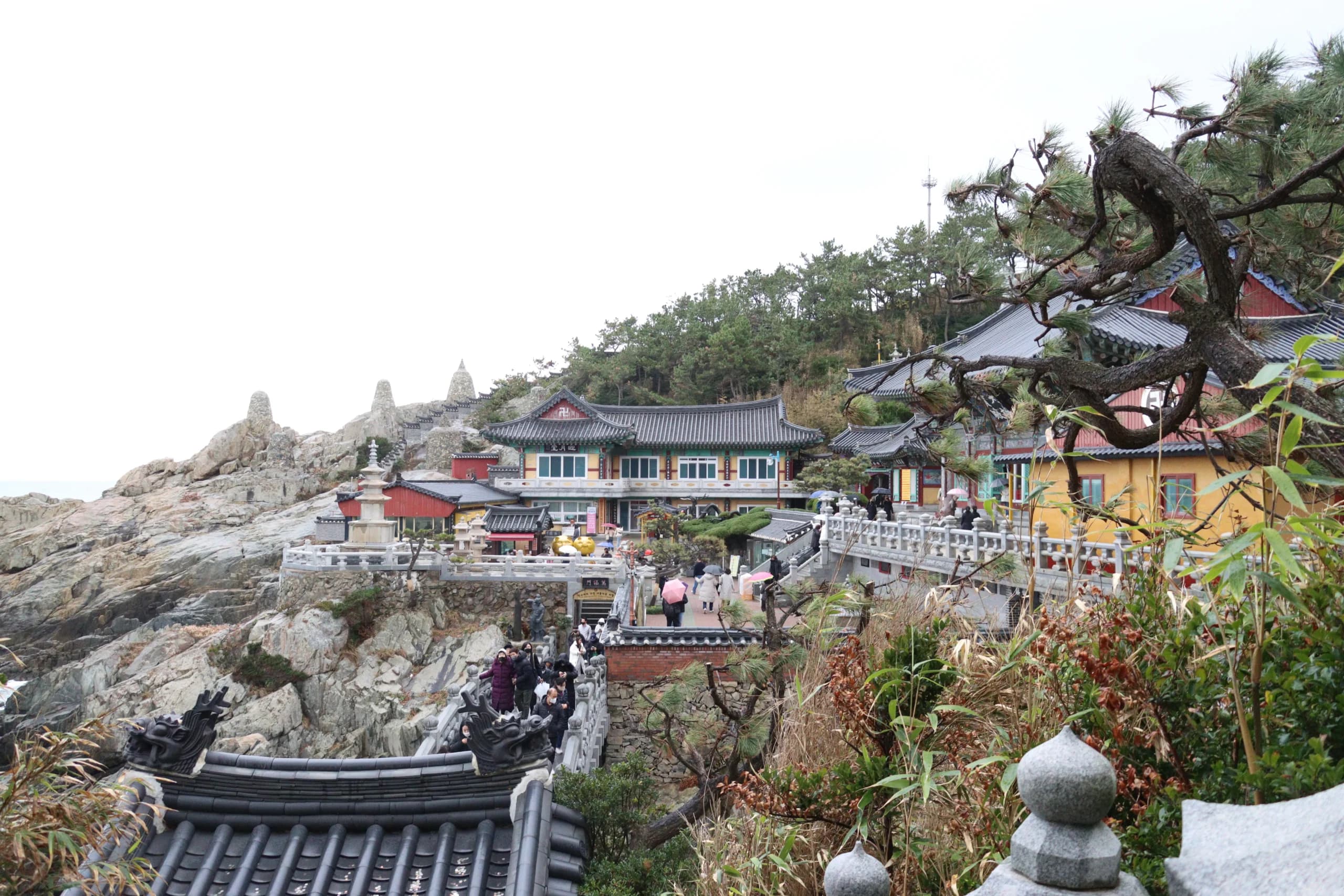 IACG students on the South Korea trip