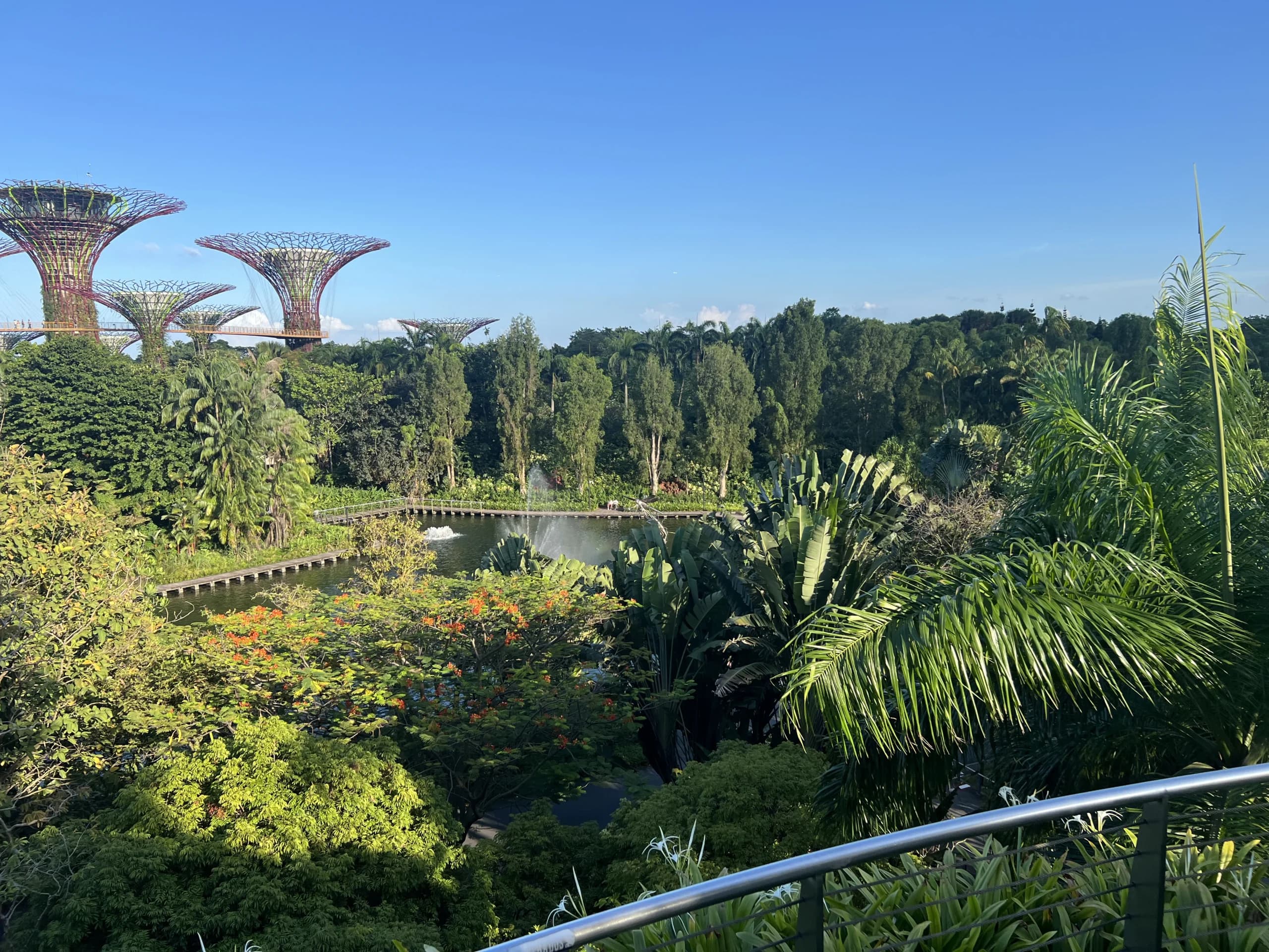 IACG students on the Singapore trip